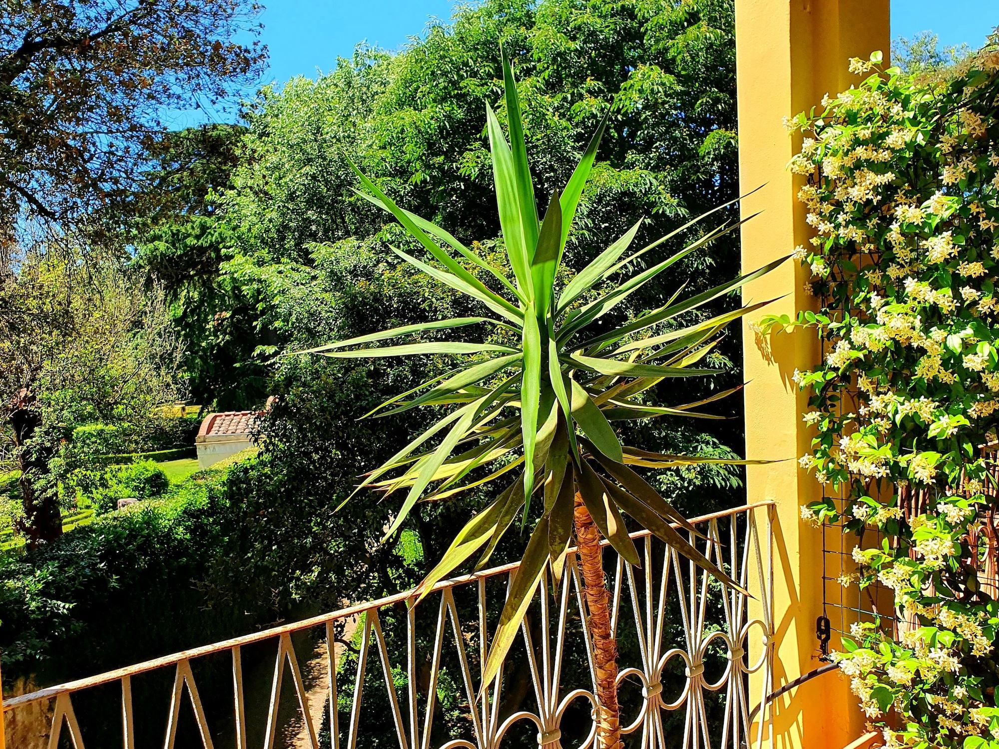 Hotel Annalena Florencie Exteriér fotografie